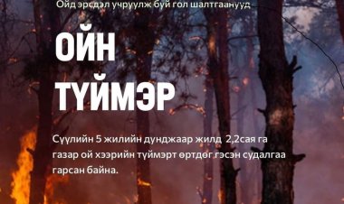 ОЙ, ХЭЭРИЙН ТҮЙМРЭЭС УРЬДЧИЛАН СЭРГИЙЛЬЕ.❗️❗️❗️