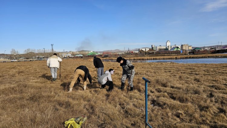 ДАРХАН СУМАНД 14.4 ГА ГАЗАР МОД ТАРИХ АЖИЛ ҮРГЭЛЖИЛЖ БАЙНА