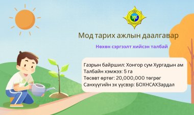 "НОГООН ДАРХАН-2032" ХӨТӨЛБӨРИЙН ХҮРЭЭНД МОД ТАРИХ  АЖИЛД ОРОЛЦОХЫГ УРЬЖ БАЙНА.
