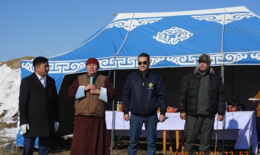 " ДАРХАН ТӨГС БАЯСГАЛАНТ ТӨГӨЛД" МОД ТАРИЛАА.