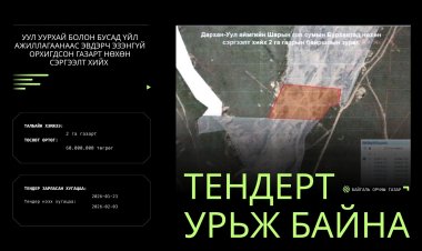 ТЕНДЕРТ УРЬЖ БАЙНА.