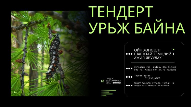 ТЕНДЕРТ УРЬЖ БАЙНА